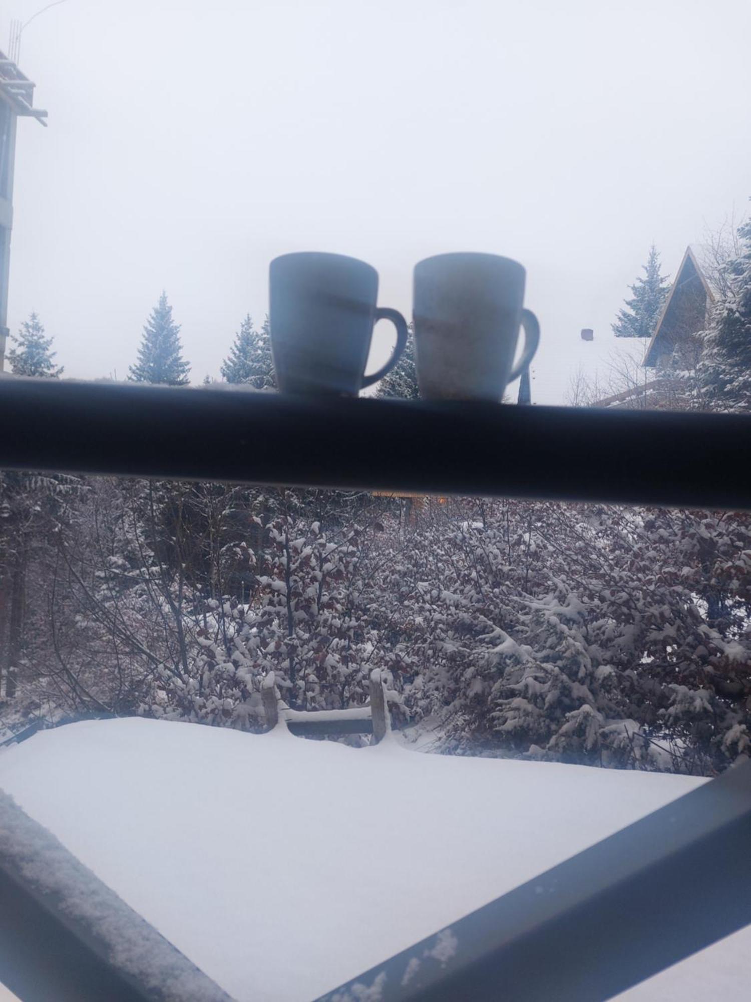 Apartman Milly Kopaonik Exterior foto